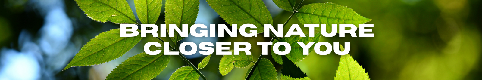 Save Big On Popular Designs