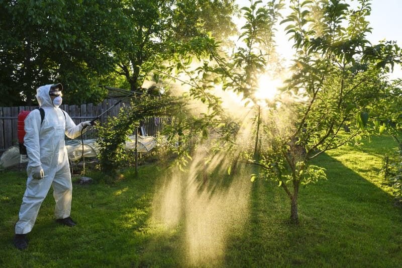 Disease Pest Control Services